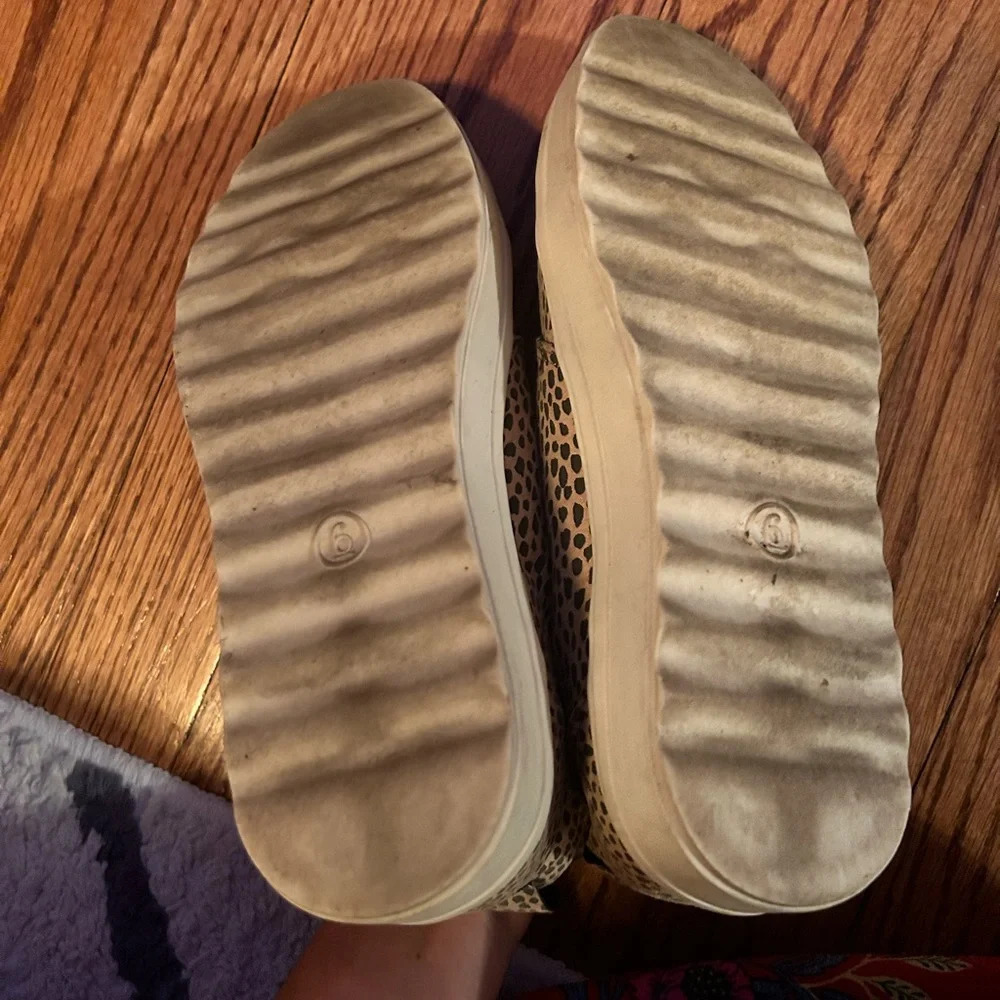 Cheetah Sneakers Size 6‎ - Picture 5 of 6